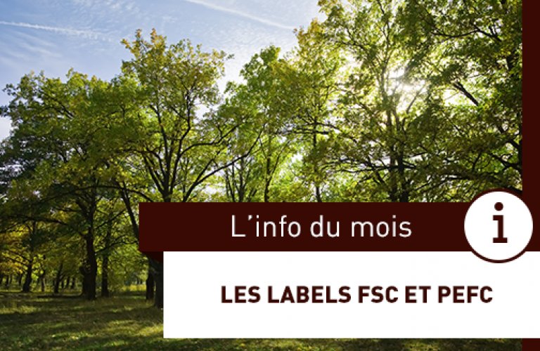 ZOOM SUR LES CERTIFICATIONS ÉCOLOGIQUES