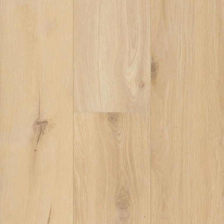 Ocean 12 V4 Gyant Sand Natural