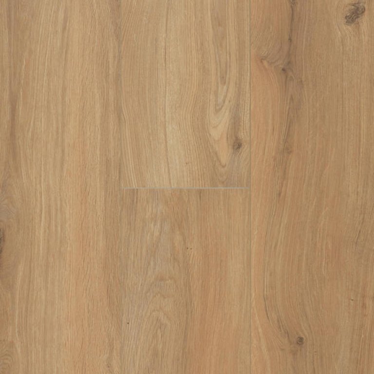 Ocean 12 V4 Gyant Warm Natural