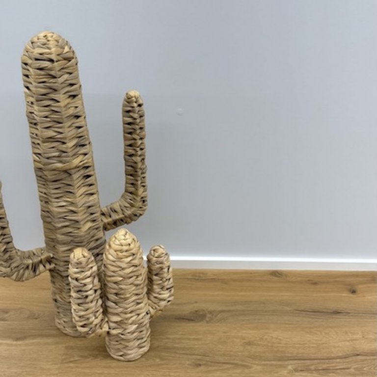 CHATAIGNE RUSTIQUE 44 - 16