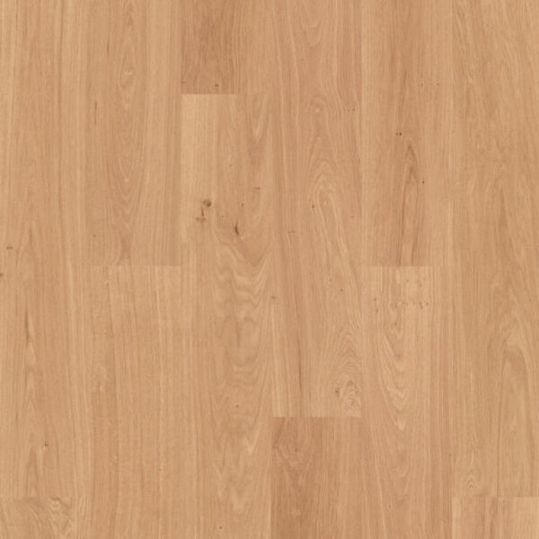 Placage bois véritable Chêne Naturel