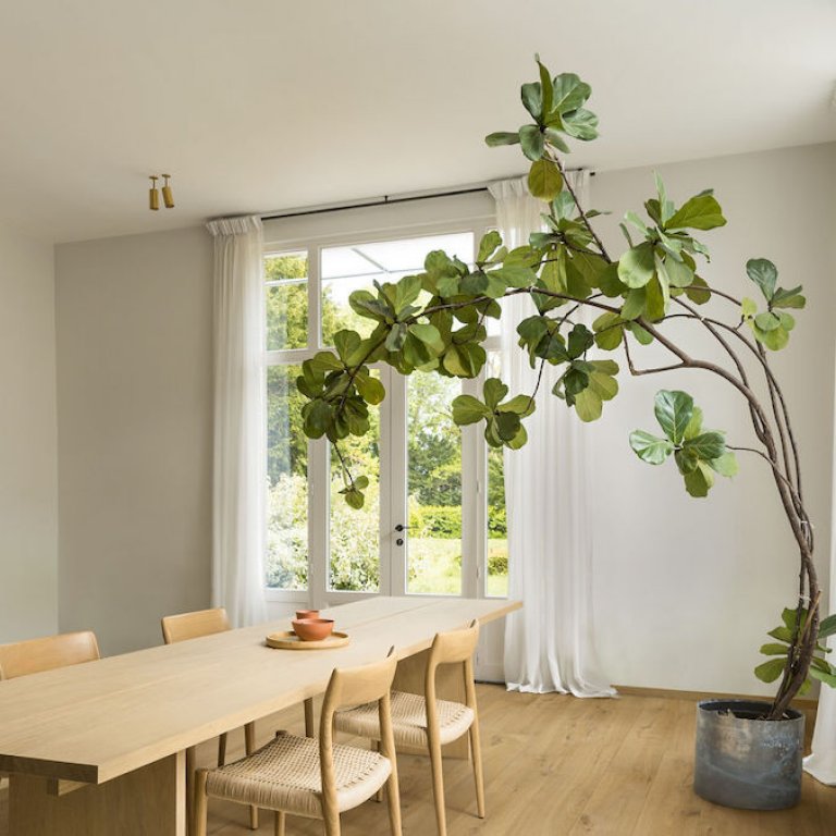 Impressive Chêne Tendre Naturel