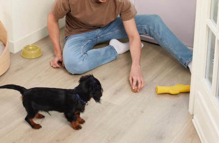 Stratifiés Ocean 12 V4 Bloom Sand Natural