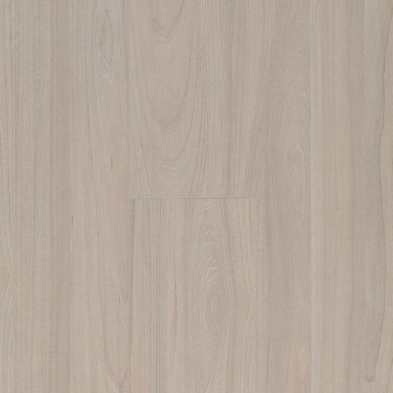 Ocean 8 V4 Elm Light