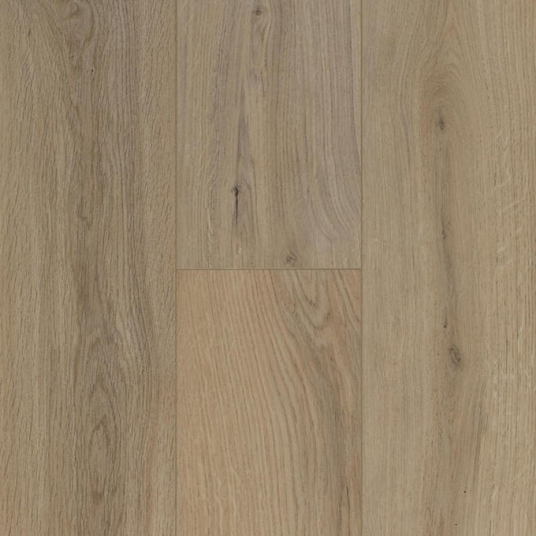 Ocean 8 V4 Gyant Light Natural