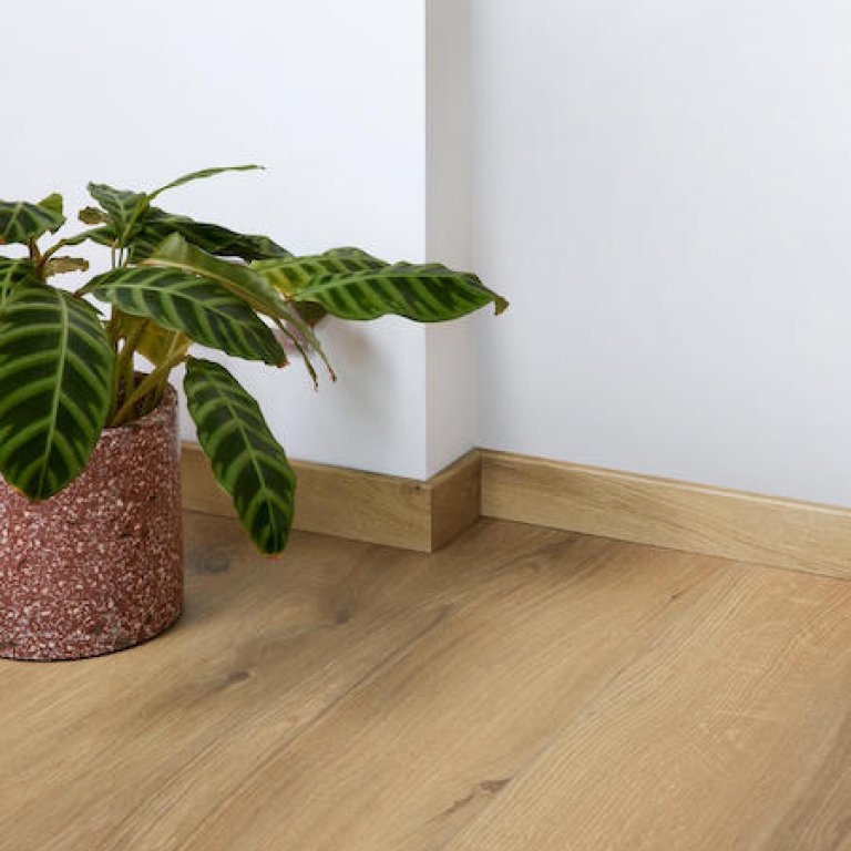 Ocean 8 V4 Gyant Warm Natural​