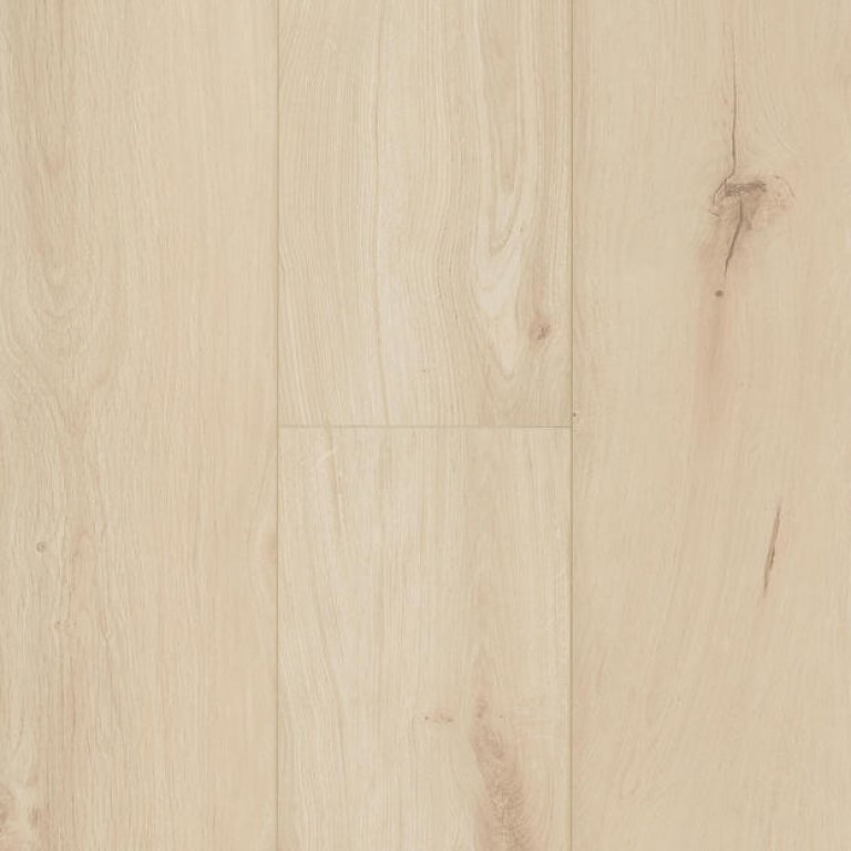 Ocean 8 V4 Gyant Light Sand