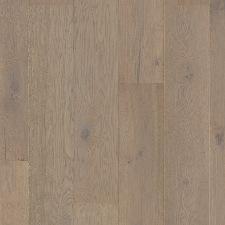Chêne coton gris extra mat CASC5112