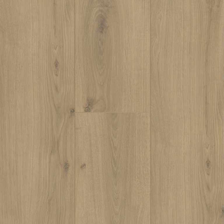 Trendline 8 V4 – Auri