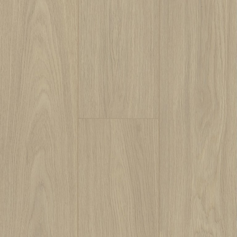 Trendline 8 V4 – Flori