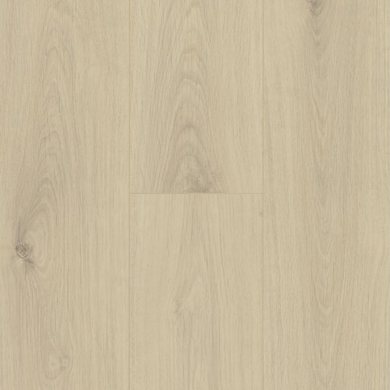 Trendline 8 V4 – Lumi